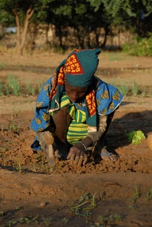 Eco_Reest_en_Oxfam_Novib.jpg Eco_Reest_en_Oxfam_Novib.jpg
