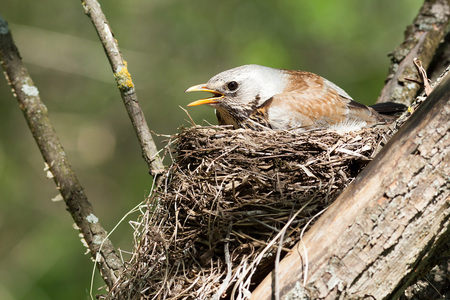 Ecologisch-onderzoek-en-ecologisch-advies_news_detail